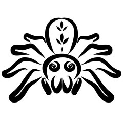 large spider with a pattern on the back