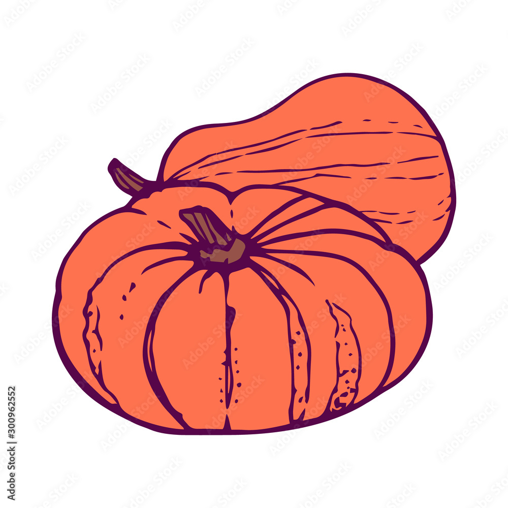 Wall mural 2 pumpkins illustration. hand-drawn in cartoon style. colored artwork isolated on white background, 