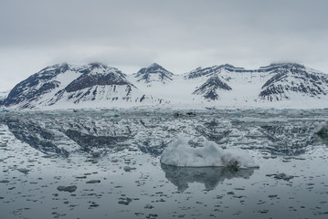 Fototapeta na wymiar Ice in an arctic fjord with mountains and a glacier in the background in Svalbard