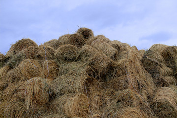 Straw bales and a cloudless bright sky.
