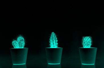 cactus in pot pop art