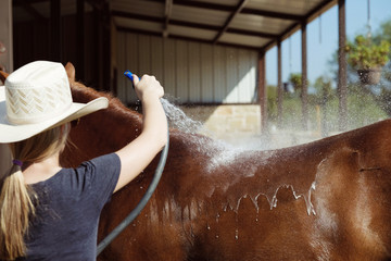 Cowgirl washing horse off with hose on hot day.