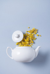Obraz na płótnie Canvas chamomile flowers spilled from a white teapot on a blue background