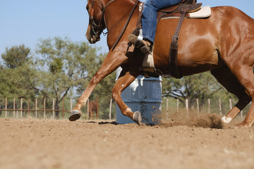 Horse barrel racing concept close up for western sport.