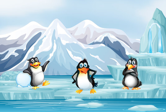 Scene with three penguins on ice