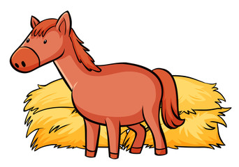 Red horse on white background