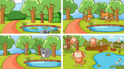 Background scenes of animals in the wild