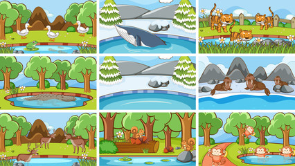 Background scenes of animals in the wild