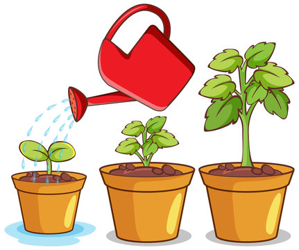 Watering Can Clip Art Images – Browse 7,281 Stock Photos, Vectors, and  Video | Adobe Stock