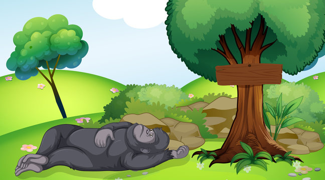 Scene with gorilla sleeping under the tree