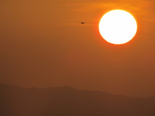 sol