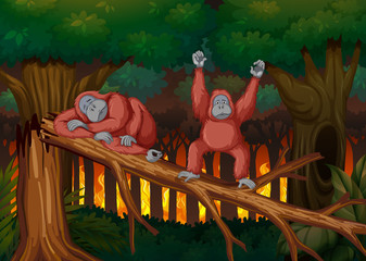 Deforestation scene with two monkeys