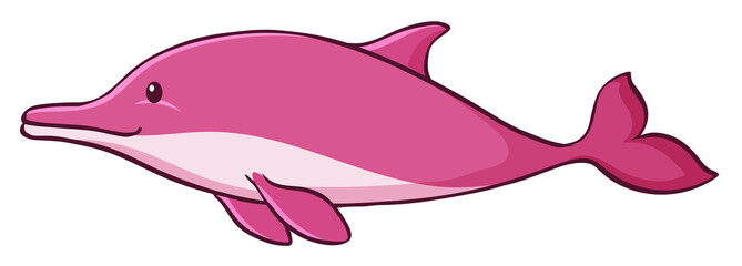 Pink dolphin on white background