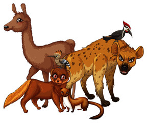 Isolated picture of many animals