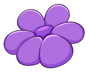 Single flower in purple color