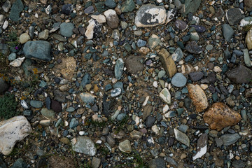 The texture of a shallow river stone. Pebble Background Image