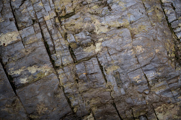 Texture of wet stone covered with moss. Background image of macro photography texture stone