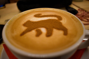 Cat coffee cappuccino