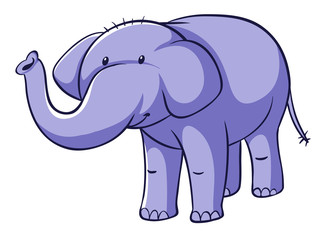 Isolated picture of cute elephant
