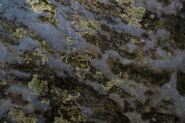 Fototapeta premium Texture of wet stone covered with moss. Background image of macro photography texture stone