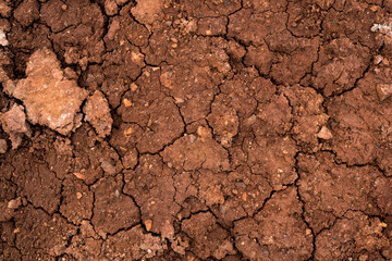 Texture of dried cracked clay. Macro background image of dried clay