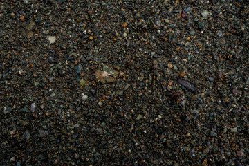 The texture of a shallow river stone. Pebble Background Image