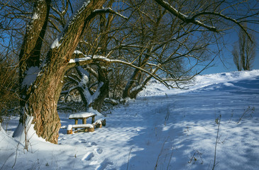 Winter landscape and nature
