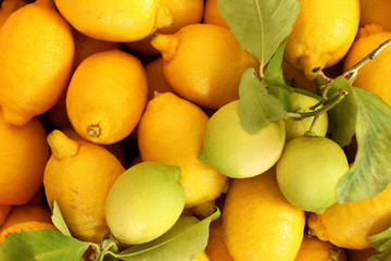 Group of fresh lemons with  leaves
