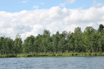 lake in forest