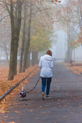 A woman walks with a dog in an autumn park, morning, fog.