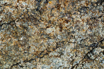 The texture of the stone overgrown with moss. Background image of a boulder