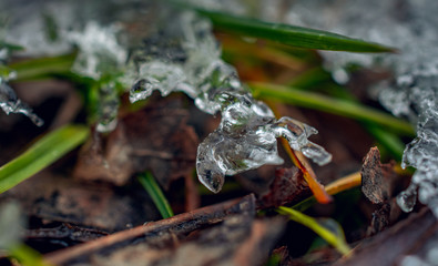 Winter landscape and nature