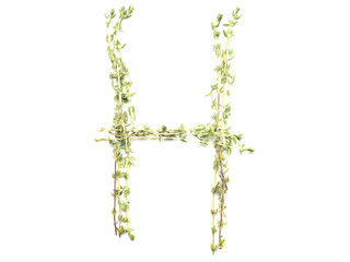 Obraz premium Isolated object: spelled with sprigs of rosemary letter of the English alphabet