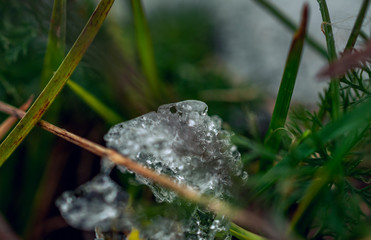 Winter landscape and nature