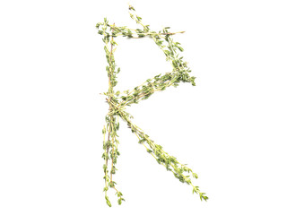 Obraz premium Isolated object: spelled with sprigs of rosemary letter of the English alphabet