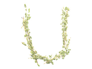 Isolated object: spelled with sprigs of rosemary letter of the English alphabet