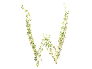 Obraz premium Isolated object: spelled with sprigs of rosemary letter of the English alphabet