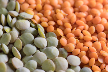 Red lentil and green lentil grains