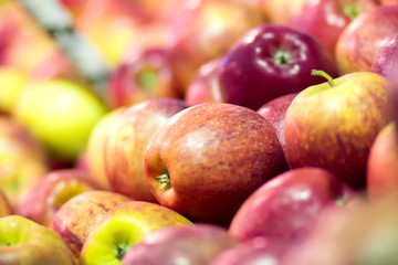 Fresh apples at the fruit and vegetable market. Natural products
