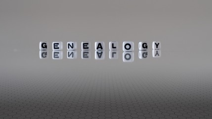 The concept of genealogy represented by black and white plastic letter cubes