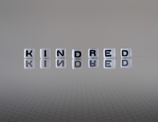 The concept of kindred represented by wooden letter tiles