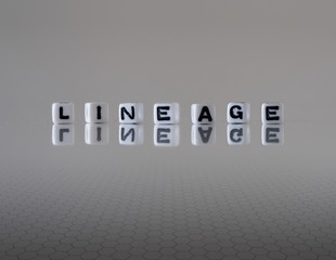The concept of lineage represented by wooden letter tiles