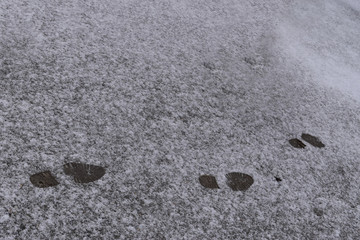 Pisadas en la nieve