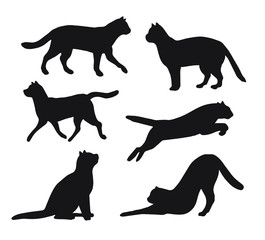 Vector set bundle of cats silhouette isolated on white background