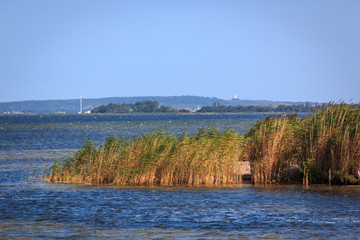 Blick vom Hafen in Schaprode zum Leuchtturm Dornbusch auf der Insel Hiddensee