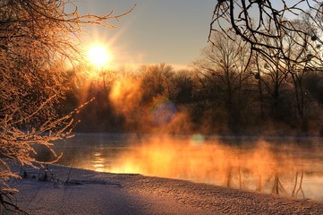 Beautiful evening panorama of a forest
