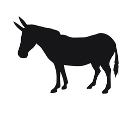 Vector black flat donkey silhouette isolated on white background