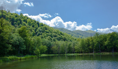 Fototapeta na wymiar nature; landscape of a mountain lake and forest