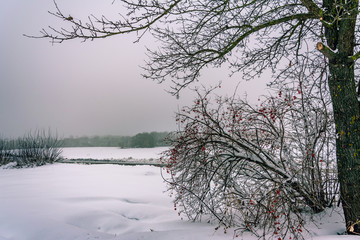 Winter landscape and nature