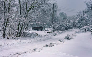 Winter landscape and nature